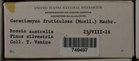 Image Associated With the Occurrence